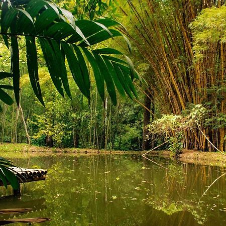 Reserva Biologica Caoba Bonda Bagian luar foto