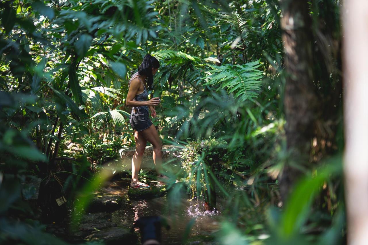 Reserva Biologica Caoba Bonda Bagian luar foto