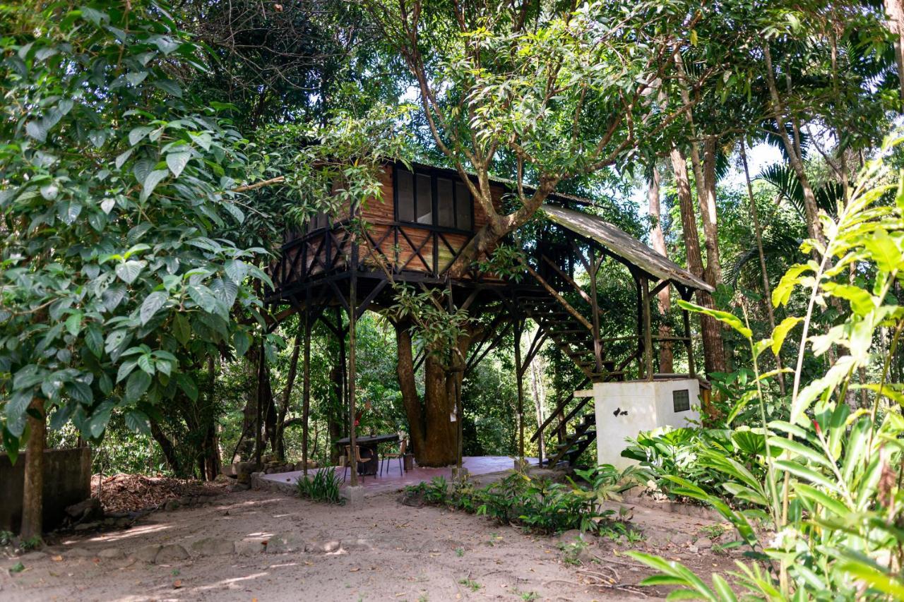 Reserva Biologica Caoba Bonda Bagian luar foto