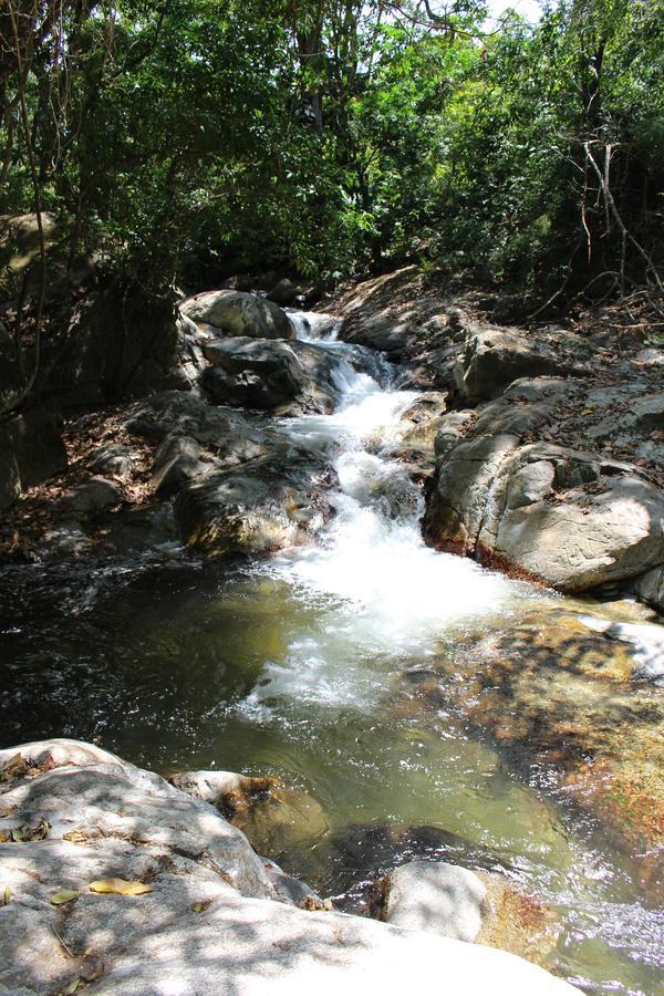 Reserva Biologica Caoba Bonda Bagian luar foto